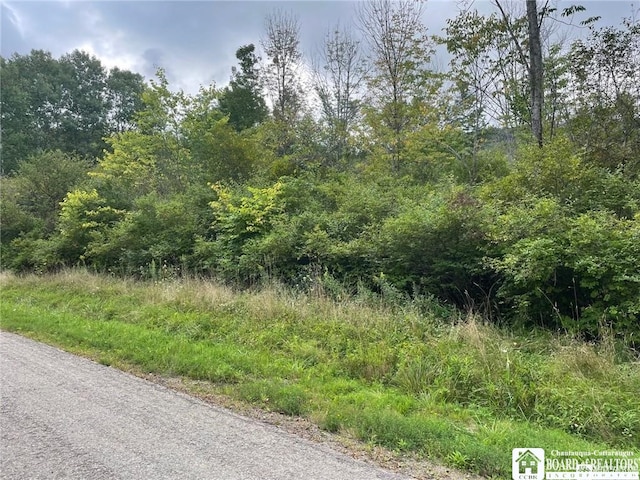 Godfrey Hollow Rd, Olean-Town, NY 14760