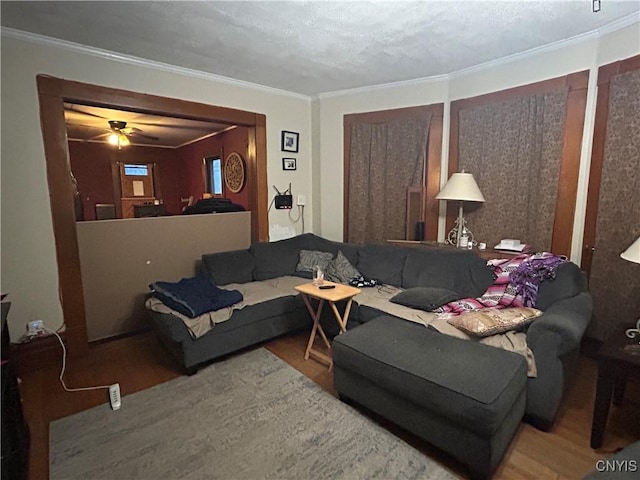 living room featuring a ceiling fan, ornamental molding, and wood finished floors