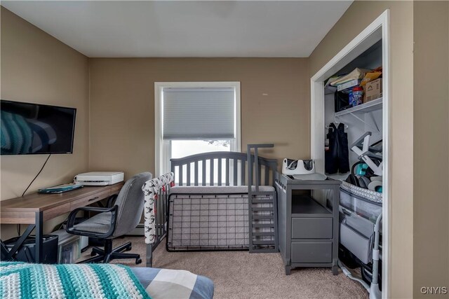 bedroom with carpet floors