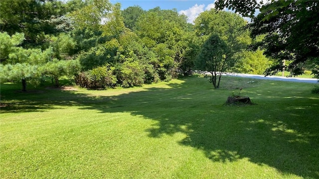 view of home's community with a yard