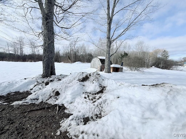 yard covered in snow with an outbuilding