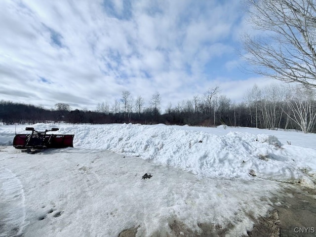 view of snowy yard