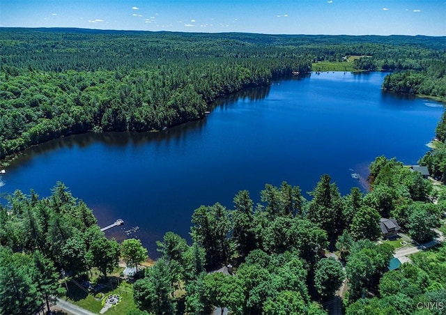 bird's eye view with a water view and a view of trees