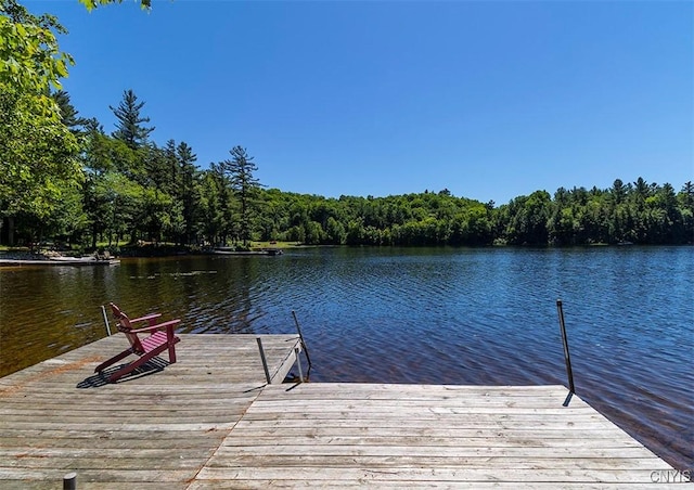 view of dock featuring a water view