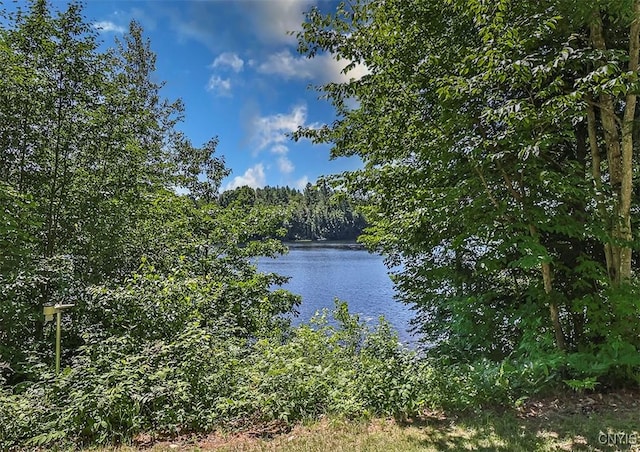 property view of water with a forest view