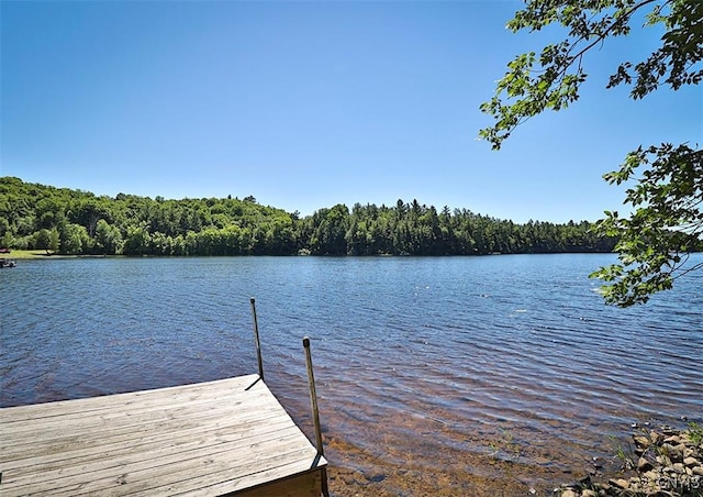 dock area featuring a water view and a wooded view