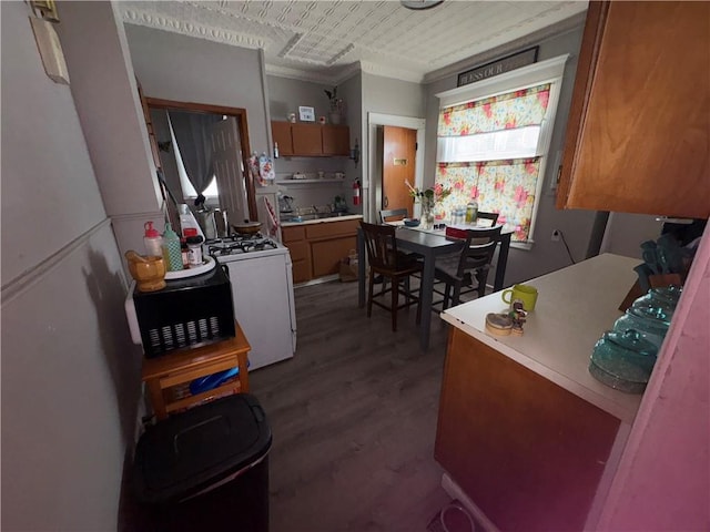 kitchen featuring brown cabinetry, range, ornamental molding, wood finished floors, and light countertops