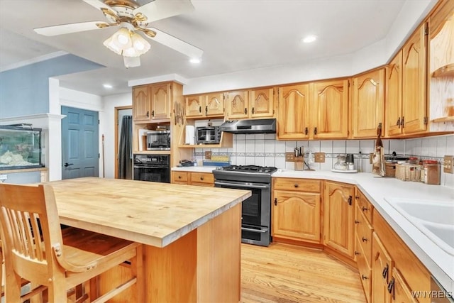 kitchen featuring light wood-type flooring, under cabinet range hood, tasteful backsplash, and stainless steel appliances