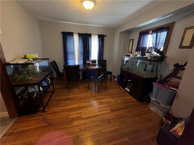 interior space featuring hardwood / wood-style flooring