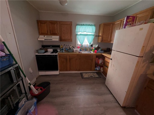 kitchen with under cabinet range hood, white appliances, wood finished floors, a sink, and light countertops