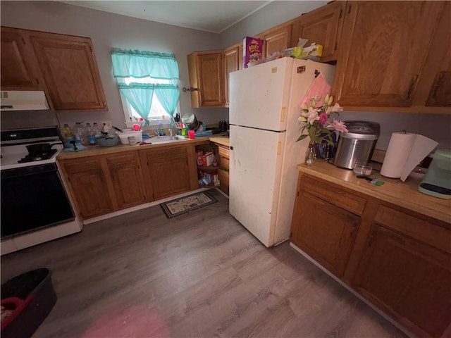 kitchen with electric stove, light wood-style flooring, freestanding refrigerator, light countertops, and ventilation hood