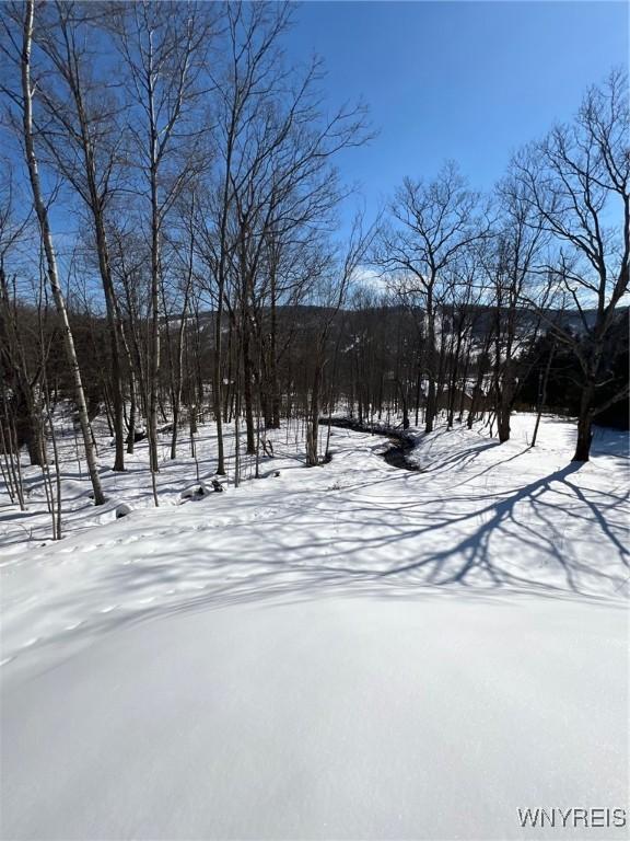 6887 Niles Rd, Ellicottville NY, 14731 land for sale