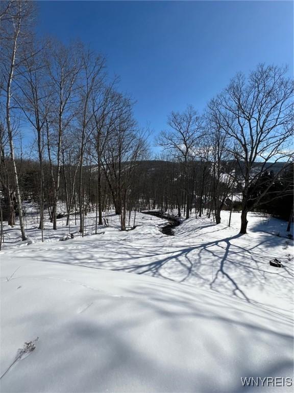 Listing photo 3 for 6887 Niles Rd, Ellicottville NY 14731