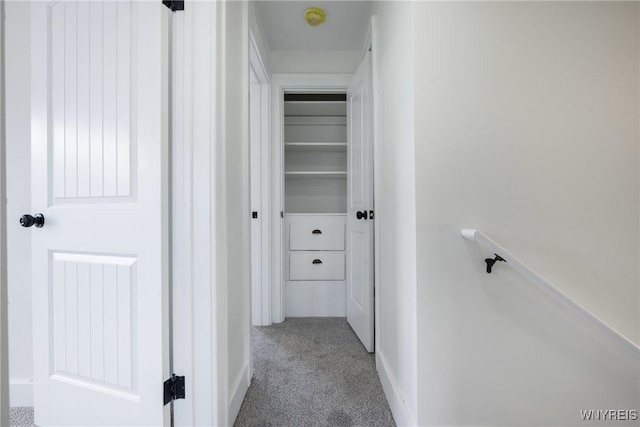 hallway with carpet flooring