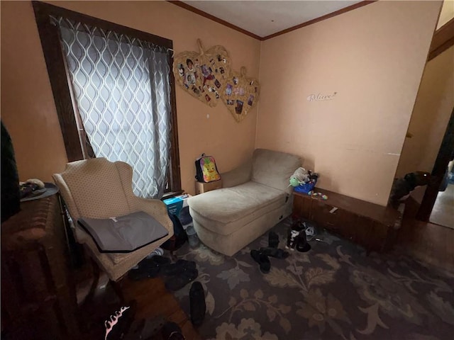 living area featuring crown molding