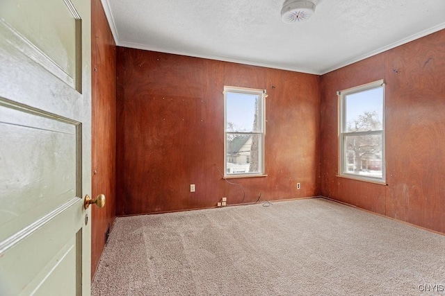 carpeted empty room with ornamental molding, plenty of natural light, and a textured ceiling