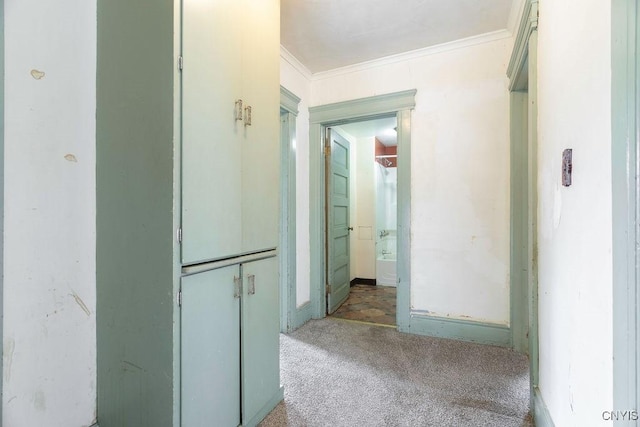 hall featuring carpet and crown molding