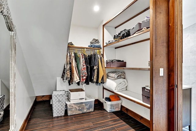 spacious closet featuring wood finished floors