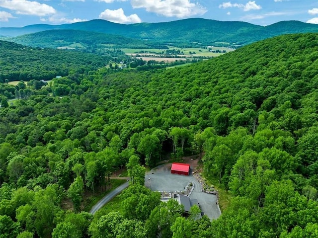 drone / aerial view featuring a mountain view