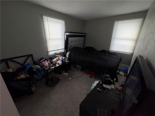 bedroom featuring carpet floors