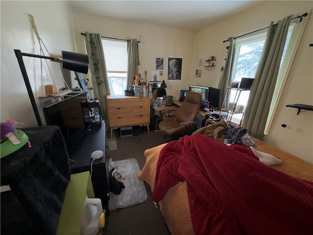 bedroom featuring carpet floors, multiple windows, and crown molding