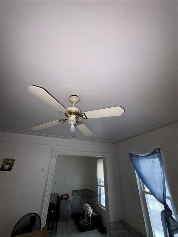 interior details with ceiling fan