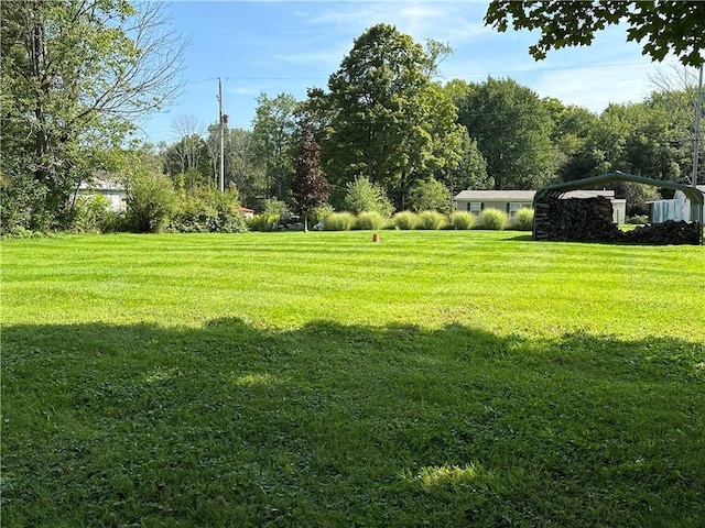 view of yard