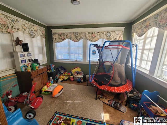 recreation room with ornamental molding and wood finished floors