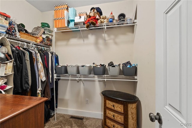 spacious closet with visible vents