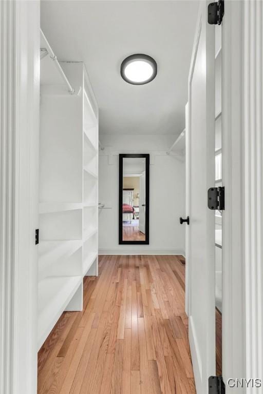 walk in closet with light wood-style flooring