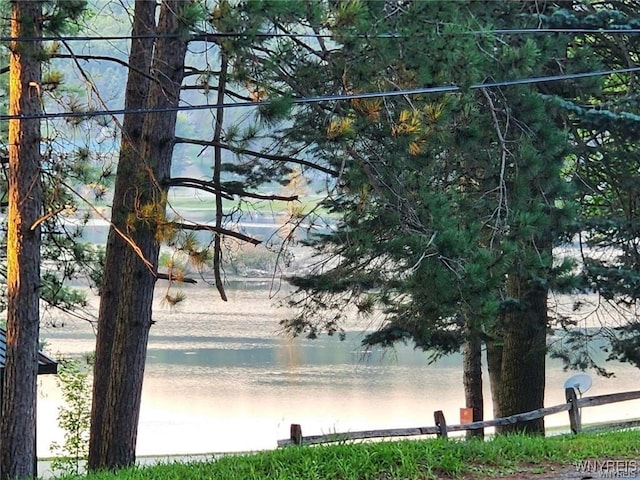 view of water feature