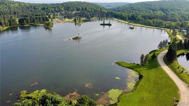 bird's eye view with a water view and a view of trees