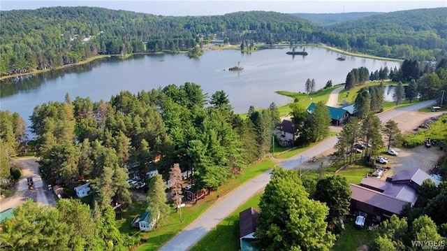 drone / aerial view featuring a forest view and a water view