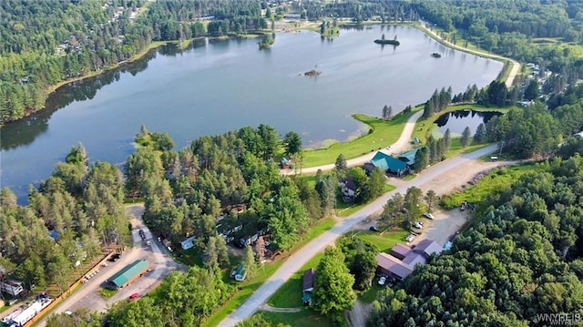 bird's eye view featuring a water view and a view of trees