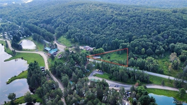 bird's eye view featuring a water view and a forest view