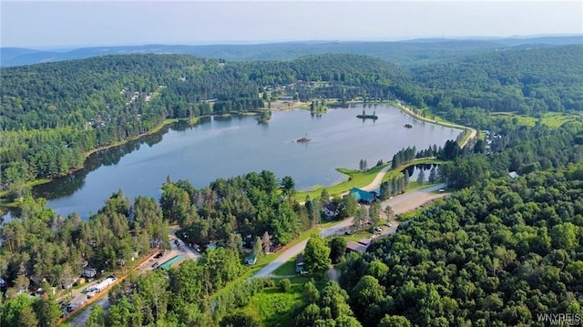 drone / aerial view with a water view and a forest view