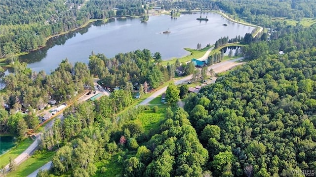 birds eye view of property featuring a water view and a view of trees