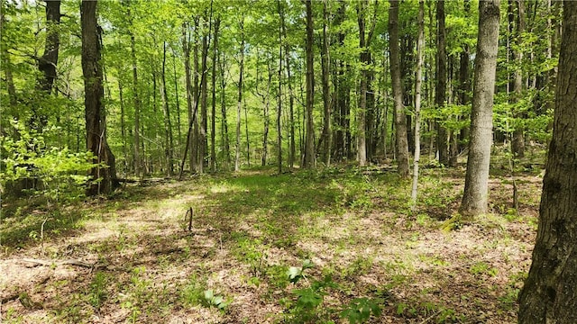 6291 Burke Rd, Prattsburgh, NY 14873 - photo 27