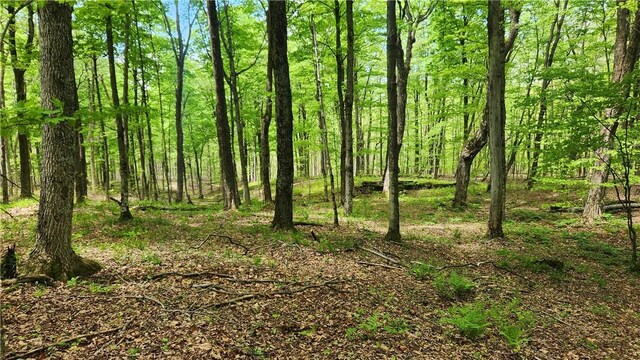 6291 Burke Rd, Prattsburgh, NY 14873 - photo 33