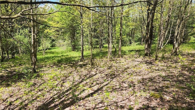 6291 Burke Rd, Prattsburgh, NY 14873 - photo 34