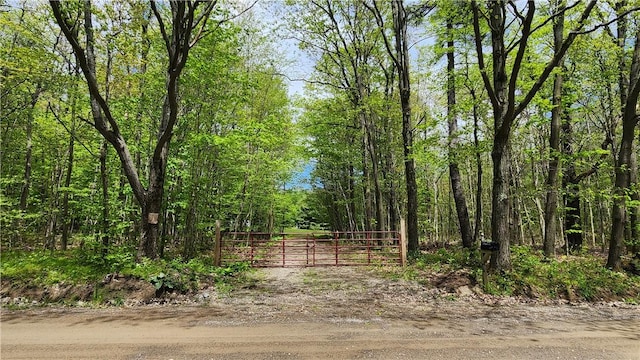 6291 Burke Rd, Prattsburgh, NY 14873 - photo 2