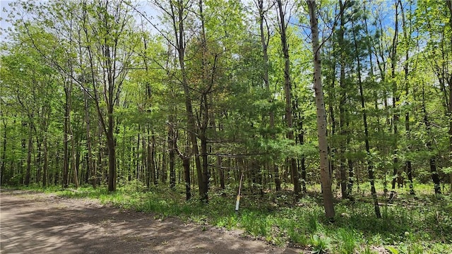 6291 Burke Rd, Prattsburgh, NY 14873 - photo 6