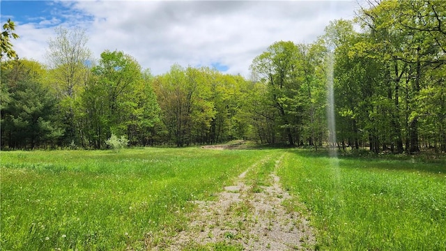 6291 Burke Rd, Prattsburgh, NY 14873 - photo 10