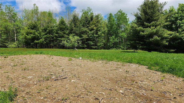 6291 Burke Rd, Prattsburgh, NY 14873 - photo 11