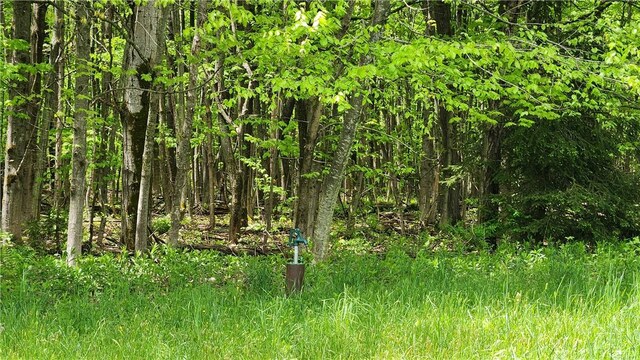 6291 Burke Rd, Prattsburgh, NY 14873 - photo 12