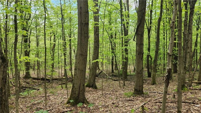 6291 Burke Rd, Prattsburgh, NY 14873 - photo 18