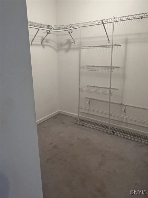 view of spacious closet