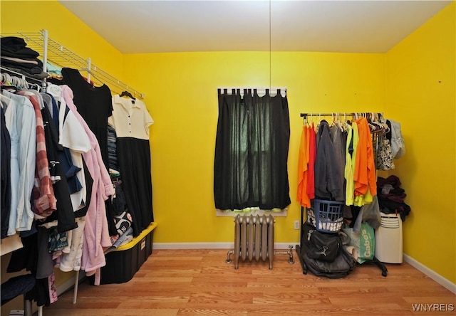 walk in closet featuring wood finished floors and radiator