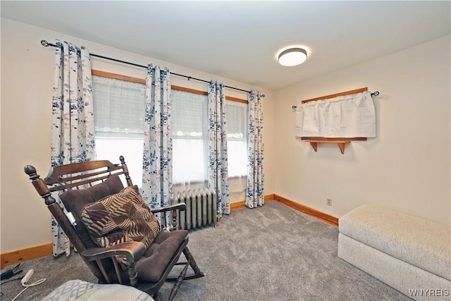 living area with radiator heating unit, carpet flooring, and baseboards