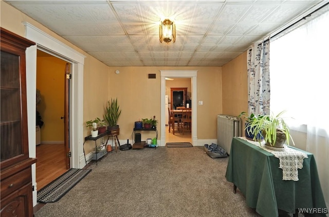 interior space featuring radiator heating unit, baseboards, and carpet flooring